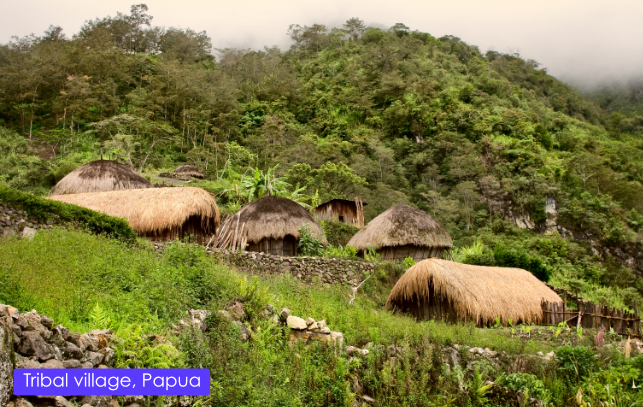 Papua Village
